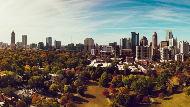 Why tree planting should be part of your climate change strategy